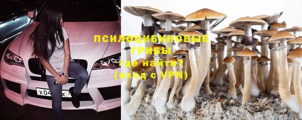дурь Алзамай