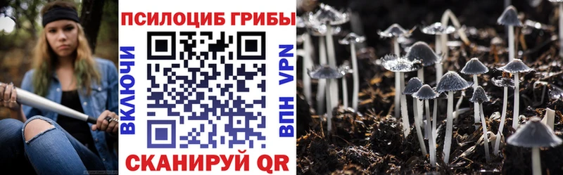 Псилоцибиновые грибы мицелий  Усть-Кут 